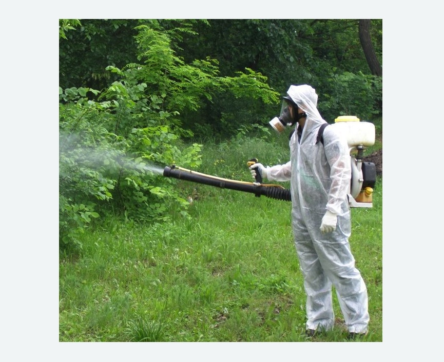 обработка территории от клещей в Александровске