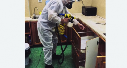 Уничтожение насекомых в квартире. Александровск