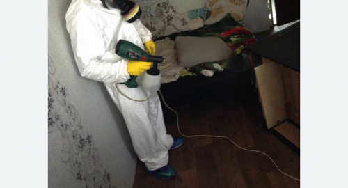 Обработка квартир от насекомых в Александровске