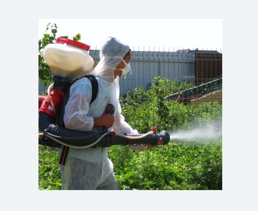 Акарицидная обработка территории в Александровске