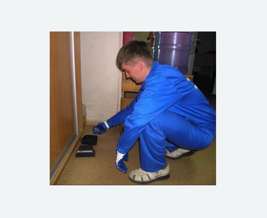 Дератизация крыс в Александровске