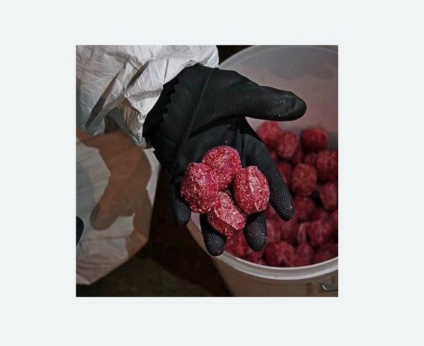 Обработка от крыс в Александровске