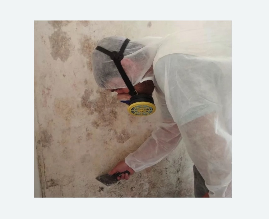 Обработка стен от плесени в Александровске