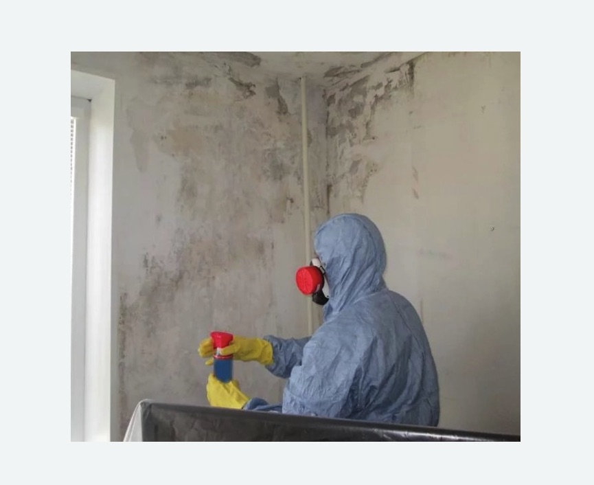 Удаление плесени в квартире в Александровске