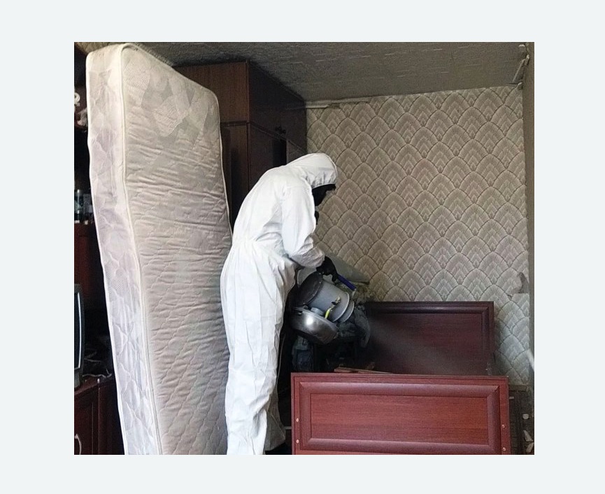 дезинфекция от клопов в Александровске