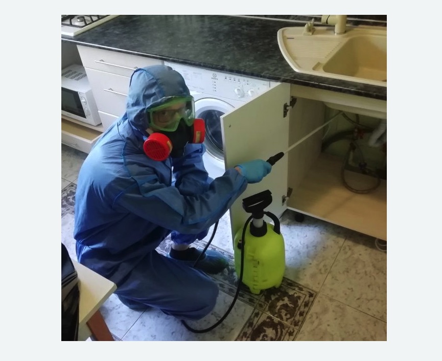 обработка от муравьев в квартире в Александровске