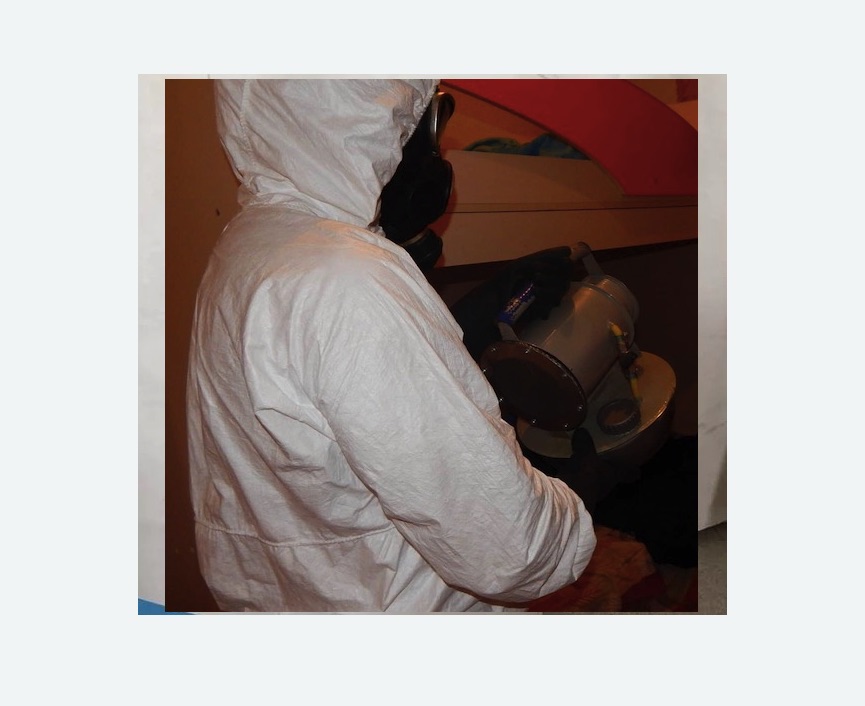 Дезинфекция от муравьев в Александровске